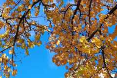 WhatsApp-Image-2025-12-04-at-15.12.56