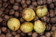 WhatsApp-Image-2025-12-04-at-15.12.57-1