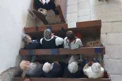 WhatsApp-Image-2025-12-04-at-14.41.22-1