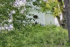 WhatsApp-Image-2025-12-04-at-14.41.26-1